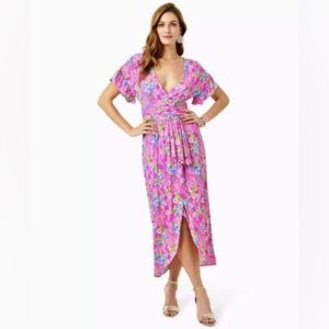 Lilly Pulitzer Anchorage Midi Dress - Large